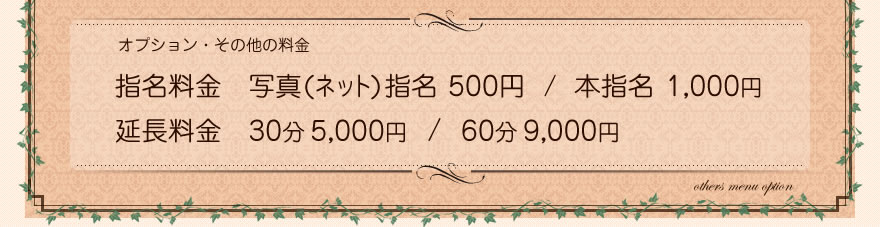 オプション
